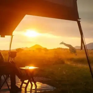 Explore 4-Day Luxury Safari Tour for 4 days with Afrishare Trekking And Safaris and discover unforgettable experiences - Photo 6