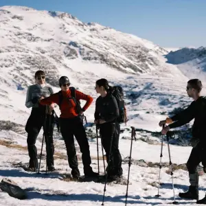 Explore 6 Days Lemosho Route Mt Kilimanjaro Trekking for 6 days with Afrishare Trekking And Safaris and discover unforgettable experiences - Photo 5