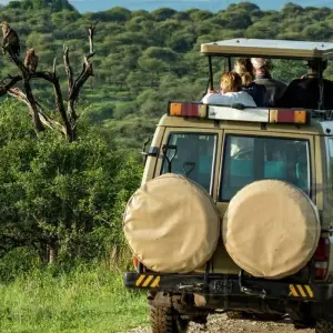 Explore 9-Days Private Safari visiting all National Parks luxury Tour for 9 days with African Polecat Safaris and discover unforgettable experiences - Photo 11