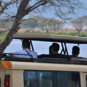 Explore 3-Days Private Mid-Range Wildebeest Calving season Safari for 3 days with African Polecat Safaris and discover unforgettable experiences - Photo 11