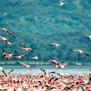 Explore 4-Day Luxury Safari Tour for 4 days with Afrishare Trekking And Safaris and discover unforgettable experiences - Photo 7