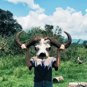 Explore 7-Days Mid-range Safari Lodge Experience visiting all National Parks including Kilimanjaro Day Hiking for 7 days with African Polecat Safaris and discover unforgettable experiences - Photo 10