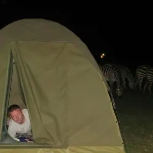 Explore 9-Days Budget safari in the wild including 2 nights in Serengeti and 3 days in Zanzibar. for 9 days with African Polecat Safaris and discover unforgettable experiences - Photo 9