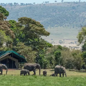Explore 4-Days Private luxury Safari Visiting Tarangire, Ngorongoro Crater and Lake Manyara for 4 days with African Polecat Safaris and discover unforgettable experiences - Photo 11