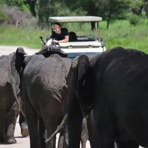 Explore 1-Day Private Ngorongoro Crater Day Trip for 1 days with African Polecat Safaris and discover unforgettable experiences - Photo 11