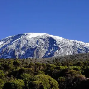Explore Mount Kilimanjaro day hike tour for 1 days with Afrishare Trekking And Safaris and discover unforgettable experiences - Photo 5
