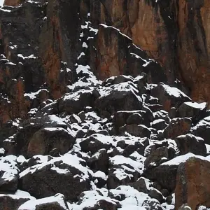 Explore 8 Day Kilimanjaro Trekking Lemosho Route for 8 days with Afrishare Trekking And Safaris and discover unforgettable experiences - Photo 3