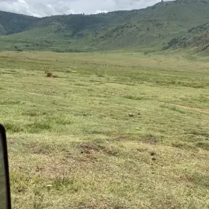 Explore 7 Day Kenya and Tanzania combine safari for 7 days with Afrishare Trekking And Safaris and discover unforgettable experiences - Photo 4