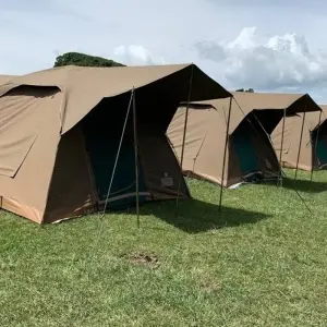 Explore 6 Day Camping safari in Northern Tanzania for 6 days with Afrishare Trekking And Safaris and discover unforgettable experiences - Photo 6