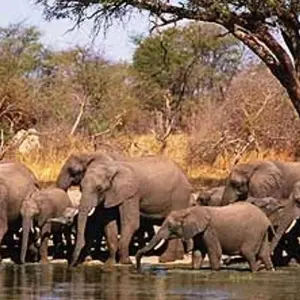Explore Zimbabwe Panorama Trip for 11 days with Afro Honeyguide Adventures and discover unforgettable experiences - Photo 4