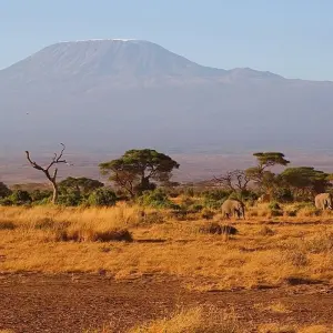 Explore Mount Kilimanjaro day hike tour for 1 days with Afrishare Trekking And Safaris and discover unforgettable experiences - Photo 8