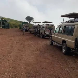 Explore 7 Day Pure Luxury Migration Safari-Northern Tanzania for 7 days with Afrishare Trekking And Safaris and discover unforgettable experiences - Photo 8