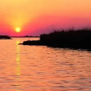 Explore Victoria Falls Hwange And Chobe for 8 days with Afro Honeyguide Adventures and discover unforgettable experiences - Photo 5