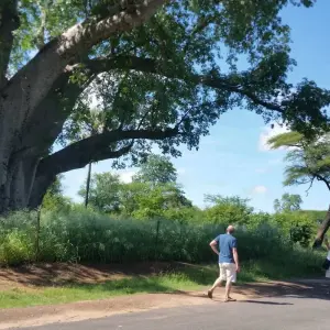 Explore Victoria Falls Special for 3 days with Afro Honeyguide Adventures and discover unforgettable experiences - Photo 6