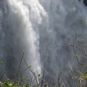 Explore Victoria Falls and Chobe for 5 days with Afro Honeyguide Adventures and discover unforgettable experiences - Photo 5