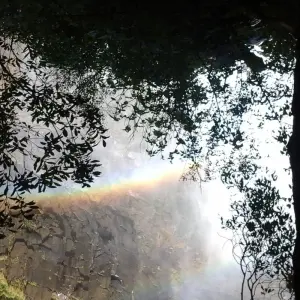 Explore Zimbabwe Panorama Trip for 11 days with Afro Honeyguide Adventures and discover unforgettable experiences - Photo 8