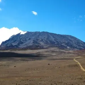 Explore 8 Day Kilimanjaro Trekking Lemosho Route for 8 days with Afrishare Trekking And Safaris and discover unforgettable experiences - Photo 9