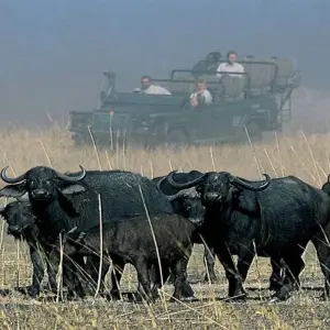 Explore Victoria Falls and Chobe for 5 days with Afro Honeyguide Adventures and discover unforgettable experiences - Photo 8