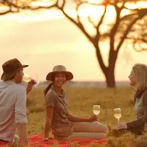 Explore 2 Day Mikumi National Park for 2 days with Afrishare Trekking And Safaris and discover unforgettable experiences - Photo 3