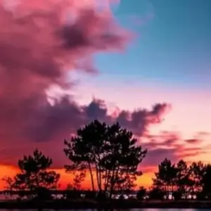 Explore 5 days Kenya and Tanzania best combined Safari for 5 days with Afrishare Trekking And Safaris and discover unforgettable experiences - Photo 4