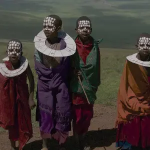 Explore 1 Day Ngorongoro Crater Safari for 1 days with Afrishare Trekking And Safaris and discover unforgettable experiences - Photo 3