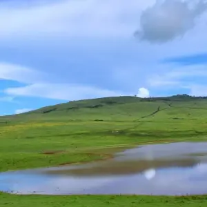Explore 2 Days Lake Manyara & Ngorongoro Crater Safari for 2 days with Afrishare Trekking And Safaris and discover unforgettable experiences - Photo 4
