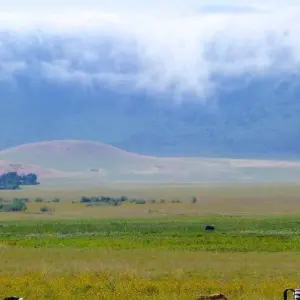 Explore 1 Day Ngorongoro Crater Safari for 1 days with Afrishare Trekking And Safaris and discover unforgettable experiences - Photo 6
