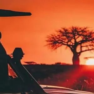 Explore 4 Days Luxury & Authentic  Safari featuring Serengeti National Park for 4 days with Afrishare Trekking And Safaris and discover unforgettable experiences - Photo 11