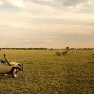 Explore 6 Day Safari Big Five at Selous and Ruaha for 6 days with Afrishare Trekking And Safaris and discover unforgettable experiences - Photo 4