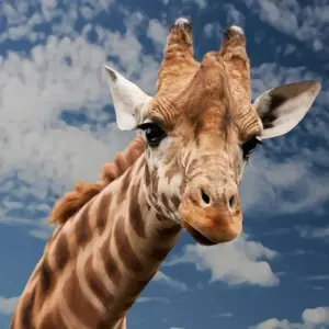 Explore 5 Days Migration Special Safari for 5 days with Afrishare Trekking And Safaris and discover unforgettable experiences - Photo 4