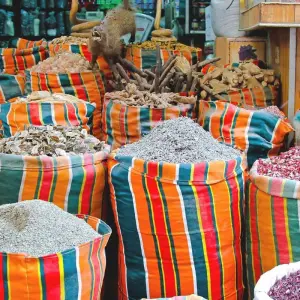 Explore Cairo Stop-Over for 4 days with Agazat Club and discover unforgettable experiences - Photo 4