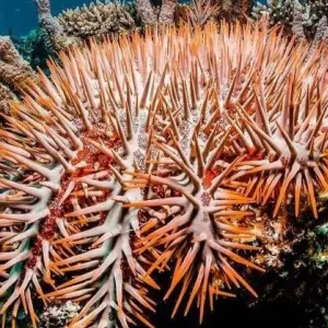 Explore Cairo & Sharm El Sheikh for 8 days with Agazat Club and discover unforgettable experiences - Photo 2