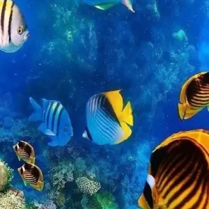 Explore Cairo, Nile Cruise & Hurghada Holiday for 15 days with Agazat Club and discover unforgettable experiences - Photo 2