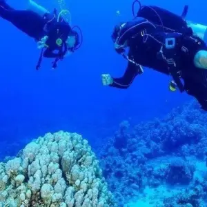 Explore Cairo & Sharm El Sheikh for 8 days with Agazat Club and discover unforgettable experiences - Photo 3