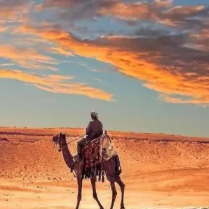 Explore Cairo & Sharm El Sheikh for 8 days with Agazat Club and discover unforgettable experiences - Photo 4