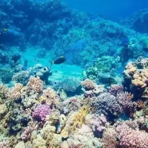 Explore Cairo, Nile Cruise & Hurghada Holiday for 15 days with Agazat Club and discover unforgettable experiences - Photo 4