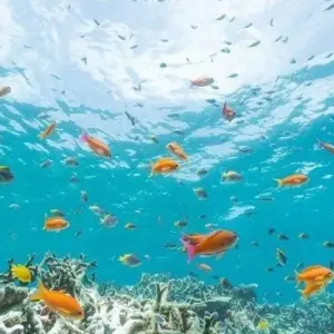 Explore Cairo & Sharm El Sheikh for 8 days with Agazat Club and discover unforgettable experiences - Photo 5