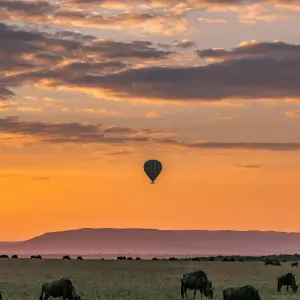 Explore 6 Day Safari Big Five at Selous and Ruaha for 6 days with Afrishare Trekking And Safaris and discover unforgettable experiences - Photo 10