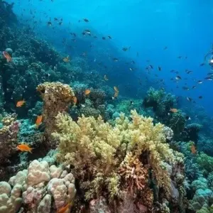 Explore Cairo, Nile Cruise & Hurghada Holiday for 15 days with Agazat Club and discover unforgettable experiences - Photo 5