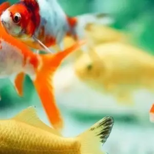 Explore Cairo, Nile Cruise & Hurghada Holiday for 15 days with Agazat Club and discover unforgettable experiences - Photo 6