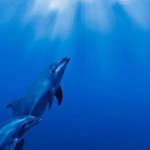 Explore Cairo, Nile Cruise & Hurghada Holiday for 15 days with Agazat Club and discover unforgettable experiences - Photo 10