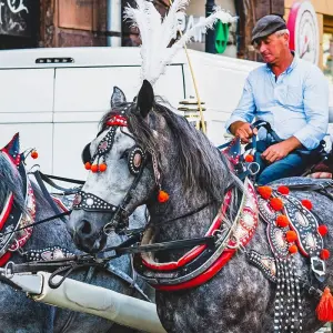 Explore Tailor-Made Private Poland Family Tour, Daily Depart & Private Car for 9 days with Agate Travel and discover unforgettable experiences - Photo 7