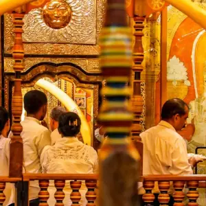 Explore Historical Wonders of Sri Lanka Family Tour, Daily Departure for 7 days with Agate Travel and discover unforgettable experiences - Photo 3