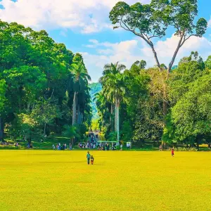 Explore Historical Wonders of Sri Lanka Family Tour, Daily Departure for 7 days with Agate Travel and discover unforgettable experiences - Photo 5