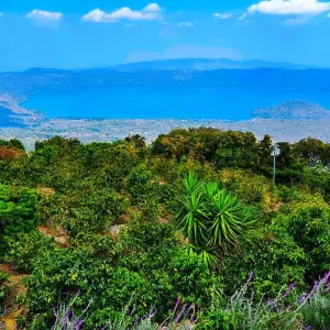 Explore Customized El Salvador and Honduras Tour, Daily Start & Private Car for 10 days with Agate Travel and discover unforgettable experiences - Photo 3