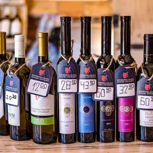 Explore Private Best Georgia Family Tour, Daily Starts and Exclusive Car for 8 days with Agate Travel and discover unforgettable experiences - Photo 6