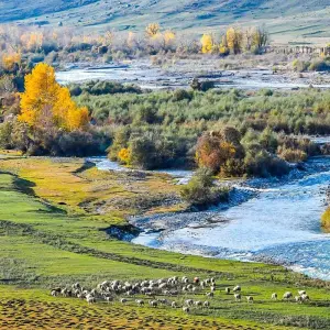 Explore Private South Kazakhstan Tour, Daily Stars and Exclusive Car for 9 days with Agate Travel and discover unforgettable experiences - Photo 4