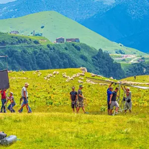 Explore Private Best Georgia Family Tour, Daily Starts and Exclusive Car for 8 days with Agate Travel and discover unforgettable experiences - Photo 8