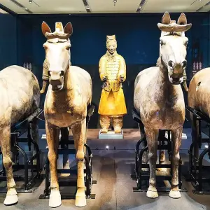 Explore 8 Days Best China Small Group Luxury Tour for 8 days with Agate Travel and discover unforgettable experiences - Photo 9