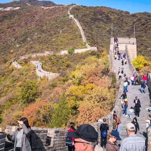 Explore Giant Pandas & China's Golden Cities, Small Group for 11 days with Agate Travel and discover unforgettable experiences - Photo 11